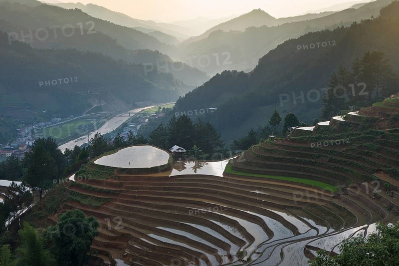 Rice terraces during the planting of new fresh green rice, the new fresh green rice seedlings at Mù Cang Ch?i, Mu Cang Chai District, Lào Cai Province, North Vietnam, Vietnam
