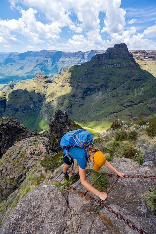 Steep ladder, female mountaineer on the hiking trail to Cathedral Peak or Cathedralpiek or Mponjwana, Drakensberg, KwaZulu-Natal, South Africa