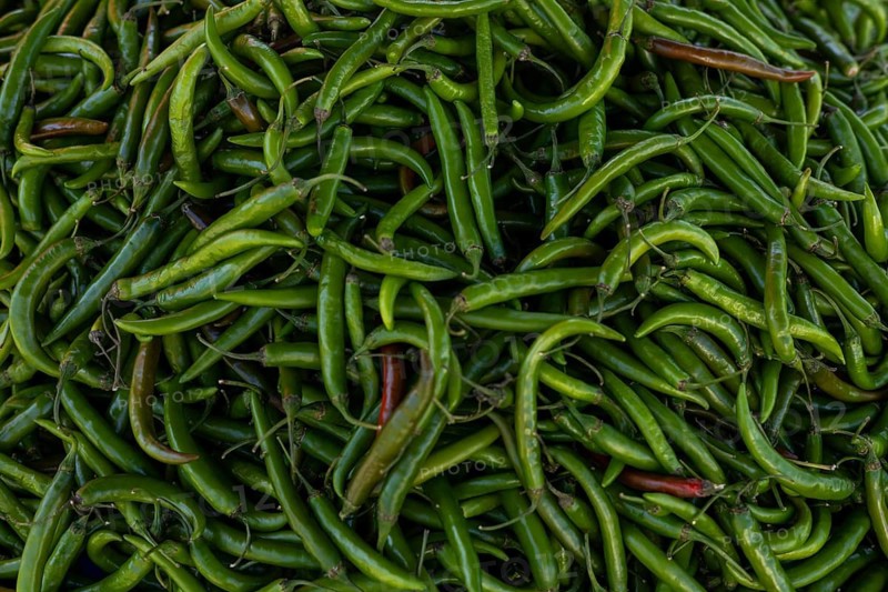 Large pile of fresh green chili peppers