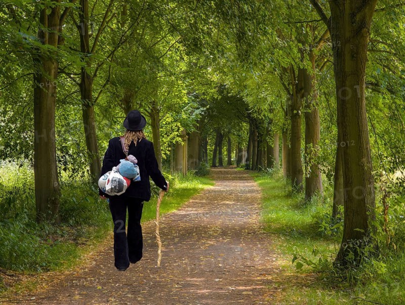 Hiking trail through the beech alley with a hiking craftswoman