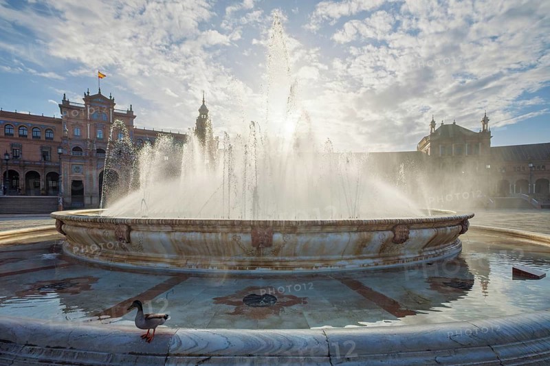 A foreground duck stands before the central fountain spraying water in Plaza de Espana square in Seville, Spain, with the semicircular facade in the background, featuring mallard duck