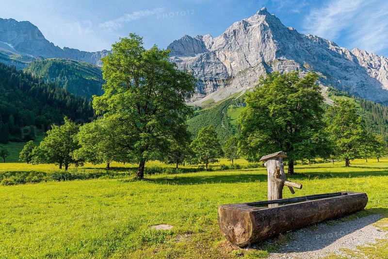 A public drinking well under a blue sky, surrounded by sycamore maples (Acer pseudoplatanus) in the Grosser Ahornboden Nature Reserve. Karwendel, Tyrol, Austria