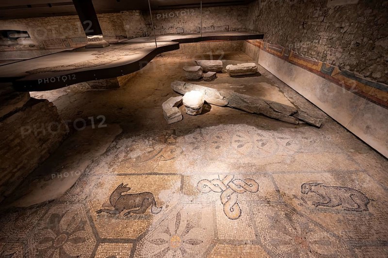 Mosaic with geometric pattern and depiction of animals, North Hall, Basilica di Santa Maria Assunta, Basilica of Aquileia with historic floor mosaic, UNESCO World Heritage Site, Aquileia, Friuli, Italy