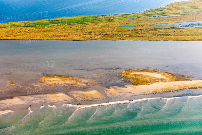 Werder Islands near Zingst in the Western Pomerania Lagoon Area National Park, Zingst, Mecklenburg-Western Pomerania, Germany