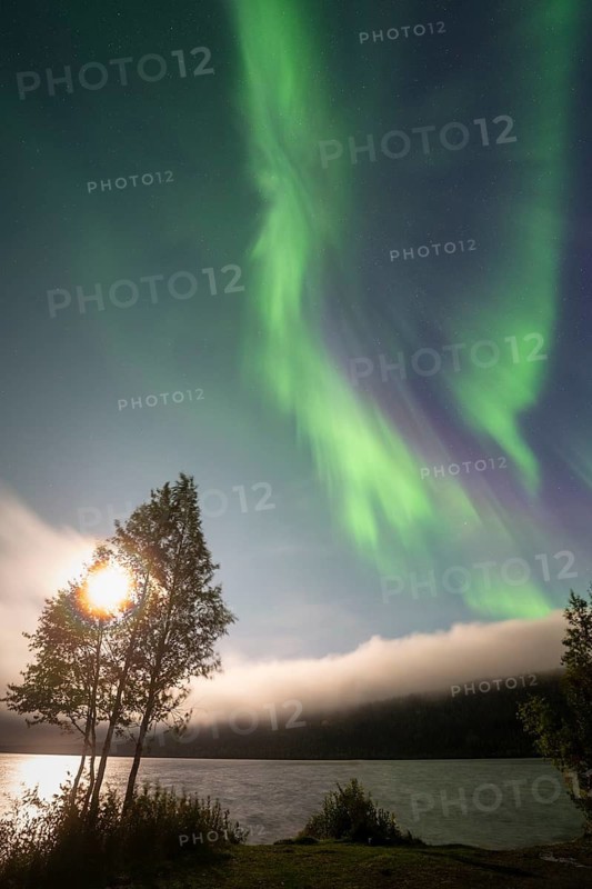 The Northern Lights (Aurora borealis) over a lake in the moonlight, Gällivare, Norrbotten, Lapland, Sweden, August 2026