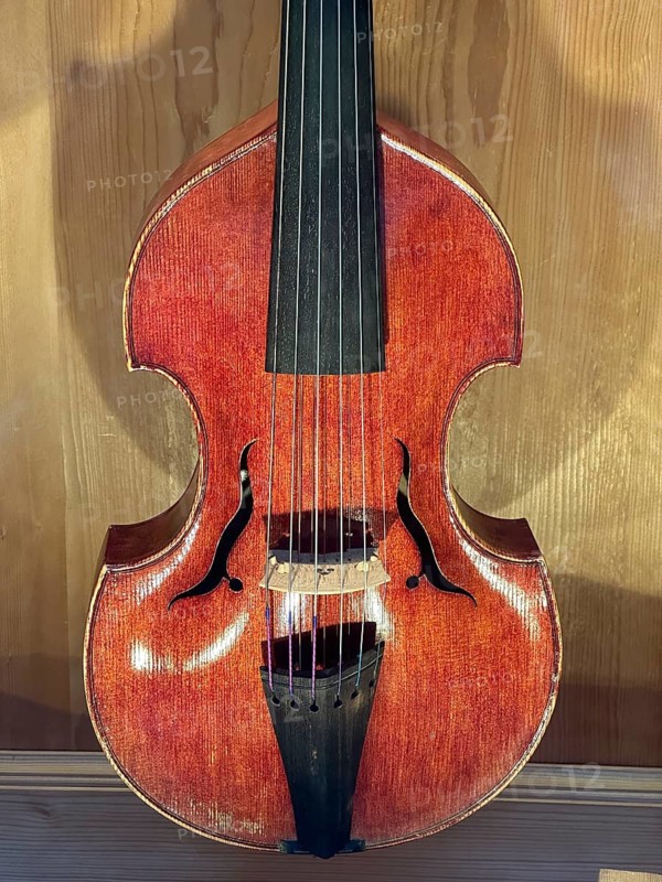 Historic violin, viola da gamba, also knee violin, leg violin or lap violin, six-string, Mittenwald violin making, Upper Bavaria, Germany