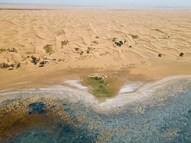 Aerial view, Swan Lake in front of moving sand dunes, salt lake in the Tengger Desert, part of the Gobi Desert, Inner Mongolia, China