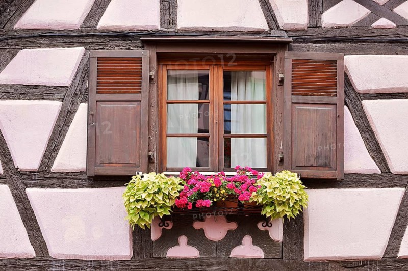 Half-timbered house house, window with shutters, Turckheim, Haut-Rhin, Alsace, Grand Est, France