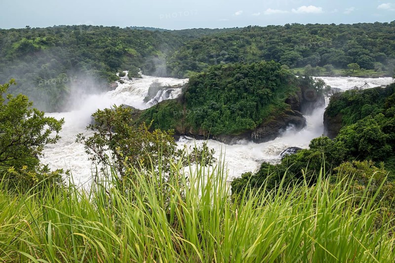 Masses of water tumble down over rocks, Murchison Falls, White Nile, Murchison Falls National Park, Uganda, East Africa