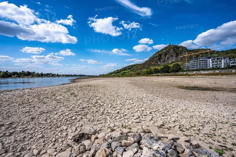 Low tide in the Rhine, dry riverbed, sandbanks, on the right bank of the Rhine near Bad Honnef, hardly any shipping traffic, freighters may only travel with significantly reduced load and reduced speed, residential complex in Rhöndorf, Drachenfels, North Rhine-Westphalia, Germany