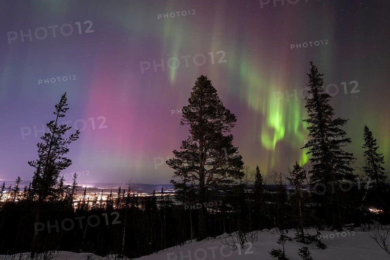 Northern Lights (Aurora borealis), Gällivare, Norrbotten, Lapland, Sweden, December 2024