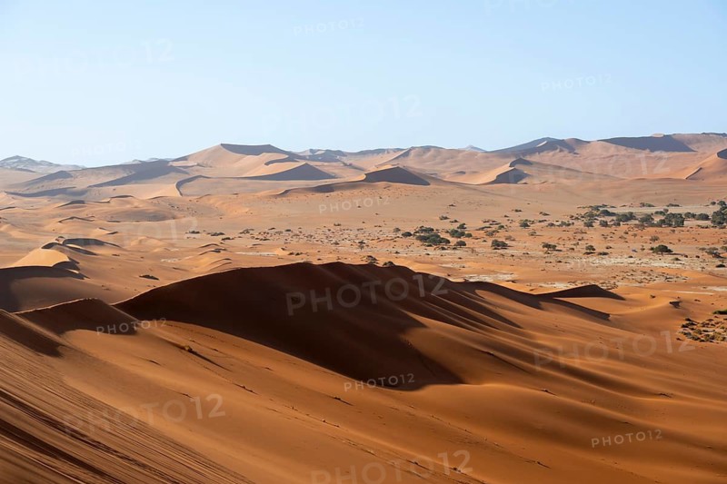 Red and yellow sand dunes of the Namib, Namib Desert, Namib-Naukluft National Park, Namibia