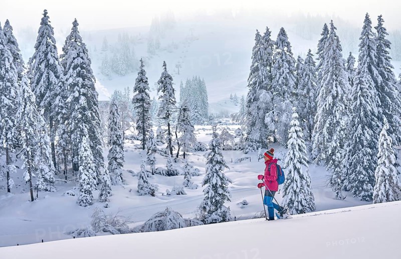 Nice and active senior woman hiking with snow shoes in deep powder snow in the Hochhaedrich area of Bregenz Forest, Hittisau, Vorarlberg, Austria