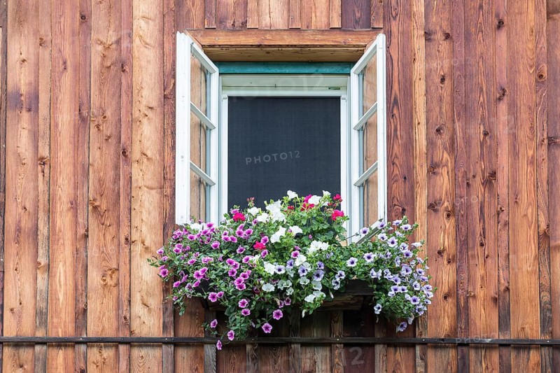 Open window with lush flowers in a flower box, wooden façade, residential building in Gössl, Styria, Austria