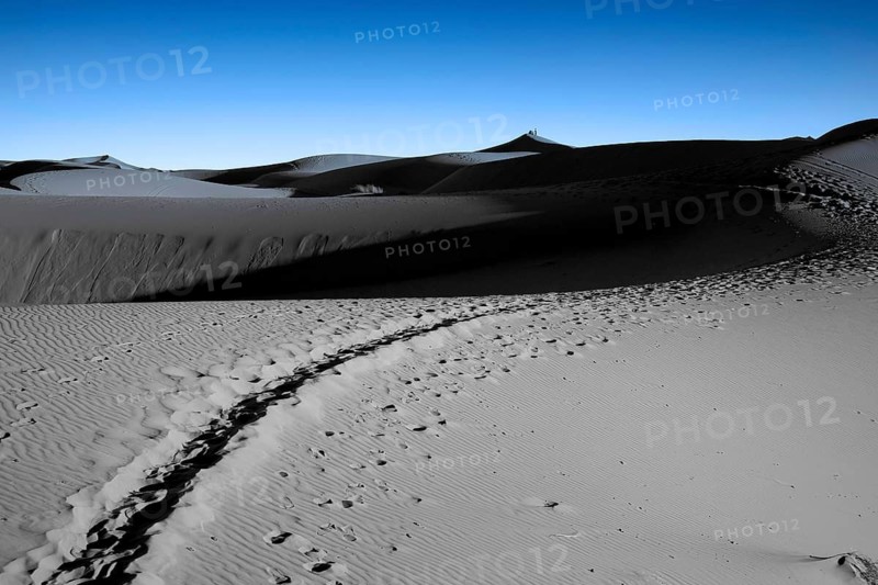 Desert landscape of the Sahara, near Erg Chebbi, Moroccan Sahara, evening mood, blue hour, desert, sandy desert, near Tafilalet, Morocco