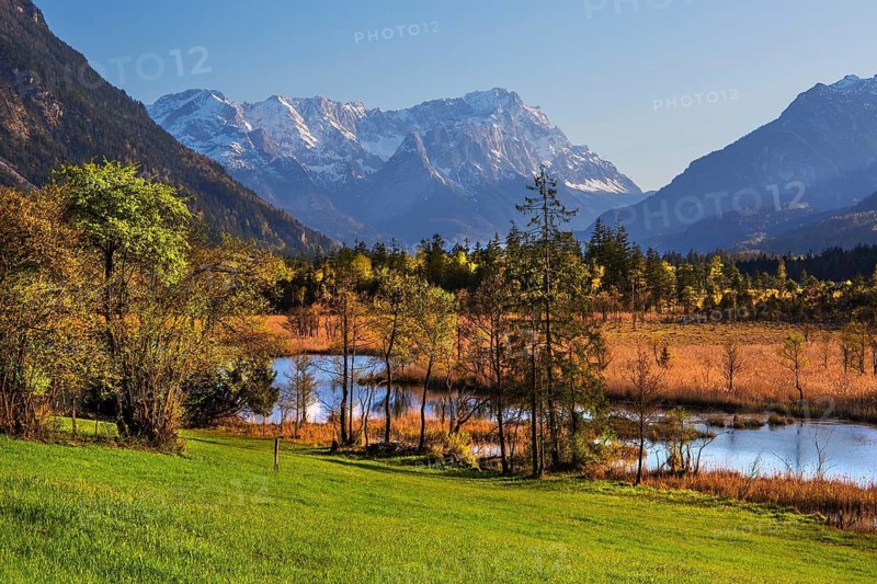 Moor area Seven springs with the Zugspitze group 2962m in spring, Eschenlohe, Loisachtal, The Blue Land, Upper Bavaria, Bavaria, Germany