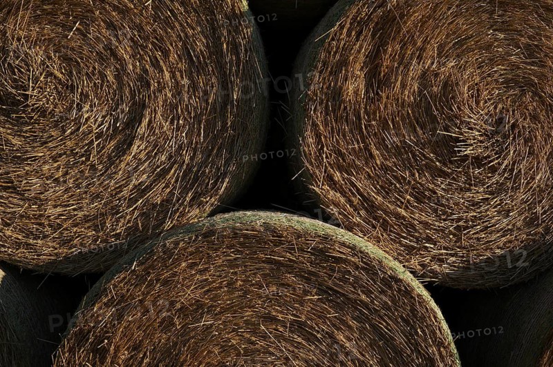 Straw bales stored in field, agriculture, Schmidener Feld, Schmiden bei Fellbach, sky, blue, Baden-Württemberg, Germany