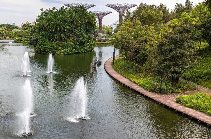 Wetland lake and walkway beside the Dragonfly Lake and Nibong Island beneath the Supertrees at Gardens by the Bay, Singapore