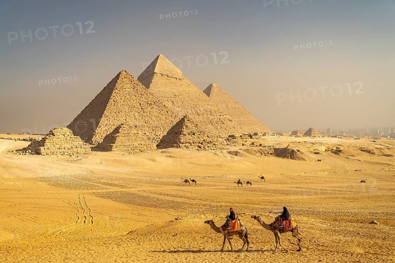 Camels in the desert and the pyramids of Giza, Egypt