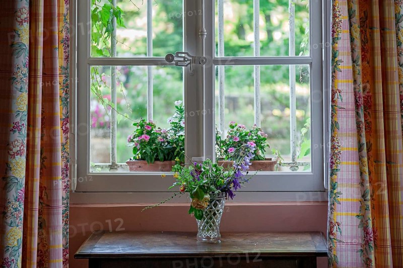 Flower vase standing on a wooden table in front of a window with a view of blooming plants outside, Provence, France