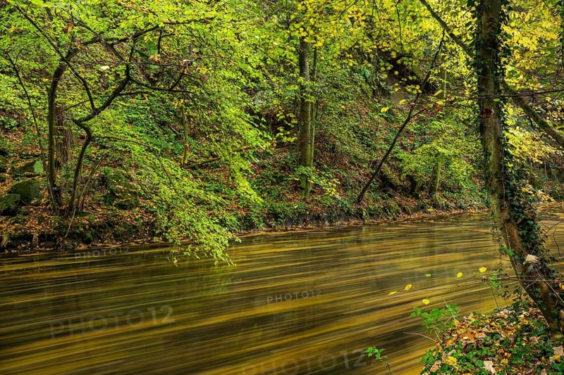 Autumn on a stream in the Elbe Sandstone Mountains in the Saxon Switzerland National Park, Lohmen, Saxony, Germany