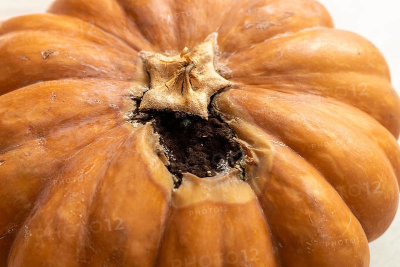 A close-up of a decaying pumpkin with a hollowed-out top. The surface is brown and wrinkled, showing signs of mold growth inside