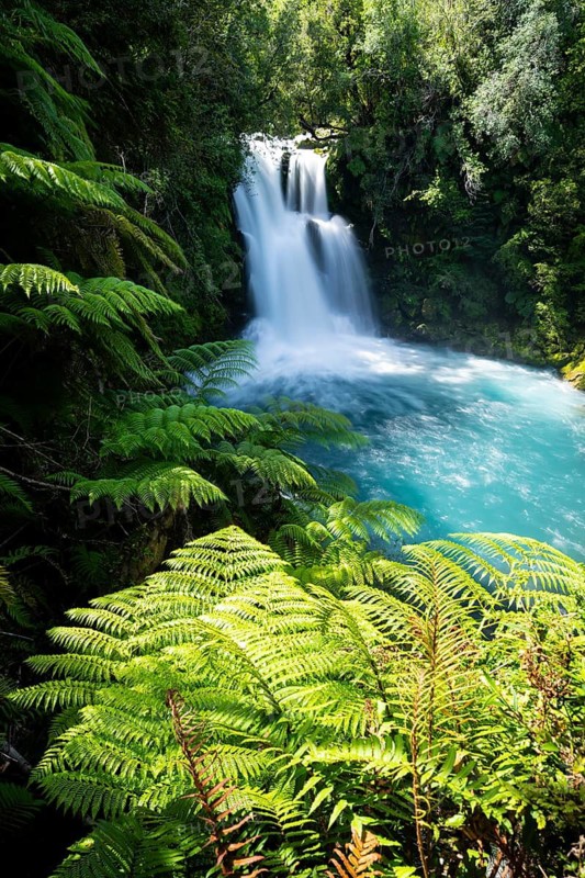 Cascadas Vejar waterfall on the turquoise blue Rio Negro river with fern, long exposure, Ruta de los Parques, Hornopirén, Hualaihué, Los Lagos, Patagonia Verde, Chile