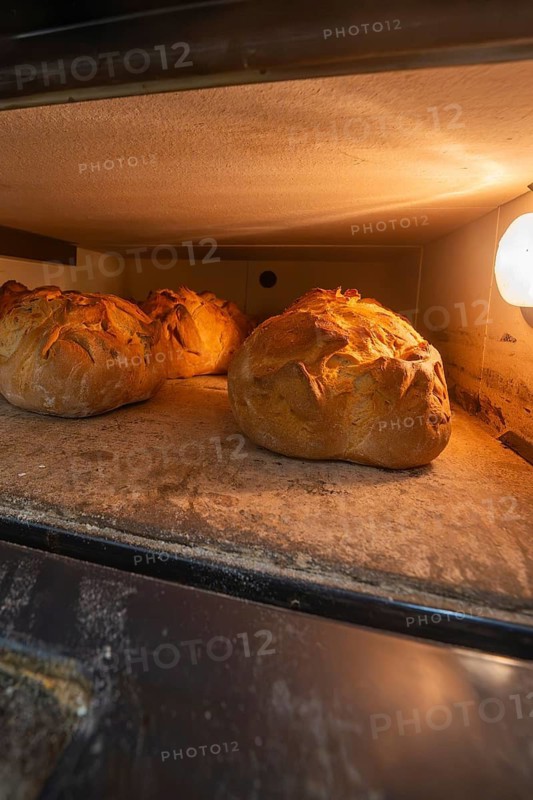 Freshly baked breads with crispy crust in a heated oven, bake bread, Haselstaller Hof, Gechingen, Calw district, Germany