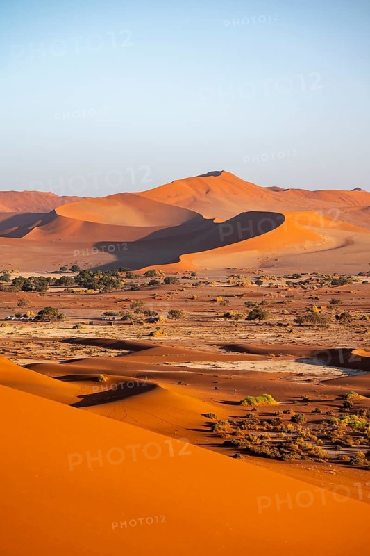 Large red sand dunes in the Namib Desert, Namib Naukluft Park, Namibia