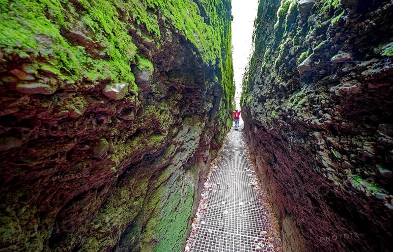 Hiking in the Dragon Gorge, gorge, hiking trail, hiking destination, fascinating, erosion, Eisenach, Thuringian Forest, Thuringia, Germany