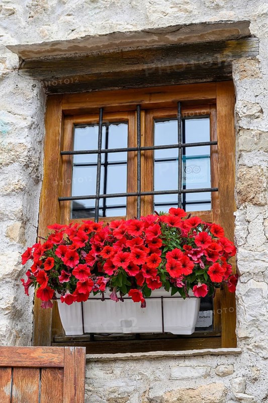 A window box with red petunias, Mostar, Bosnia and Herzevogina
