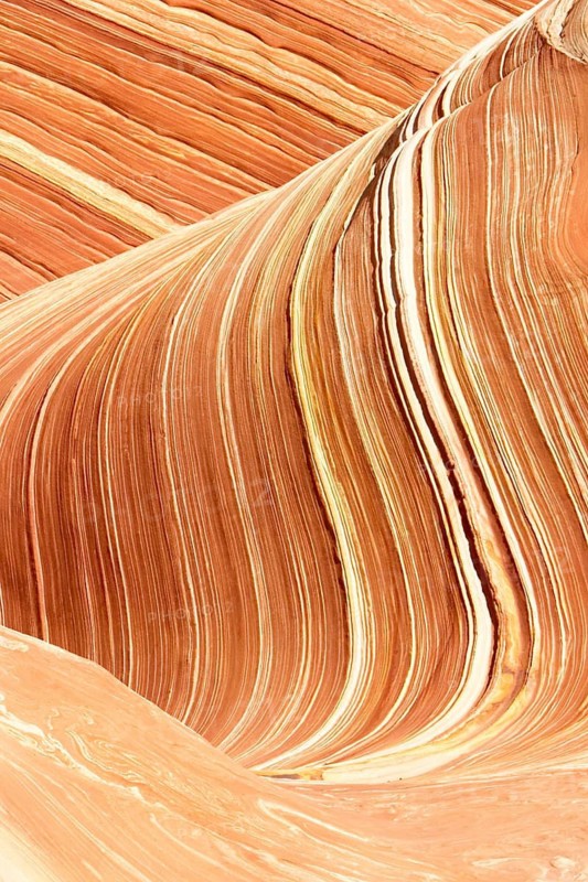 Red Canyon, The Wave, Sandstone Formation, Geography, Travel, Rocky Landscape, Arizona, Paria Wildernes, Vermillion Cliffs National Monument, USA, Rock Formation/Rock Landscape, ARIZONA, USA