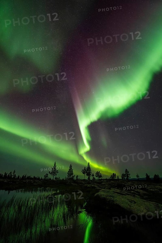 Northern Lights (Aurora borealis) reflected in a mountain lake, Norrbotten, Lapland, Sweden, September 2024