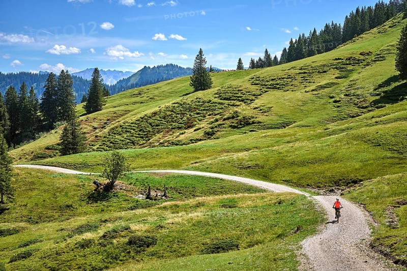 Attractive senior woman riding an electric bicycle on a mountain biking tour through sunny alpine meadows and scenic mountain landscapes above Balderschwang, Allgäu Alps, Bavaria, Germany