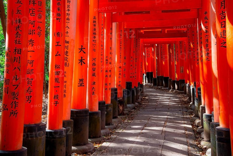 Walk through hundreds of red traditional torii gates, Fushimi Inari Taisha, Shinto Shrine, Fushimi Inari-taisha Okusha Hohaisho, Kyoto, Japan