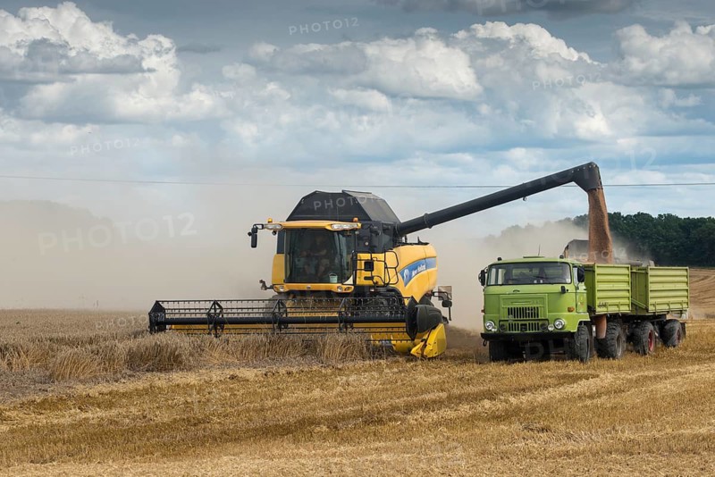 Harvest, industrial agriculture, intensive agriculture, combine harvester
