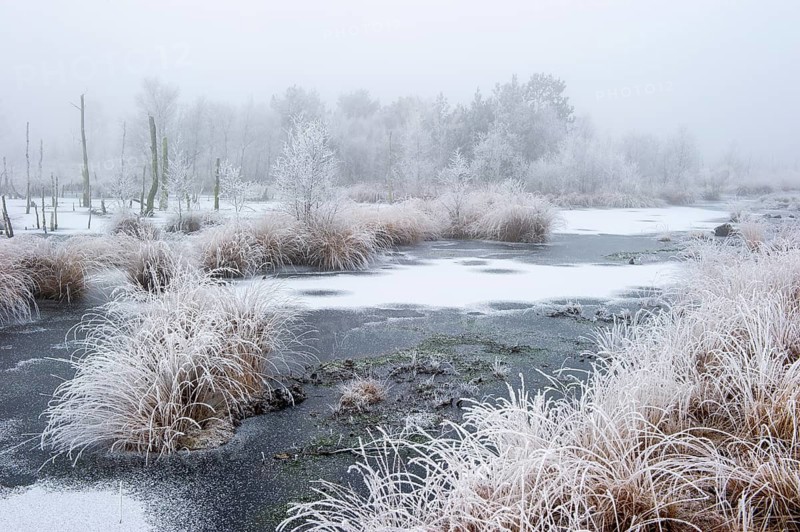 Winter with hoarfrost and snow in Goldenstedter Moor, Goldenstedt, Lower Saxony, Germany