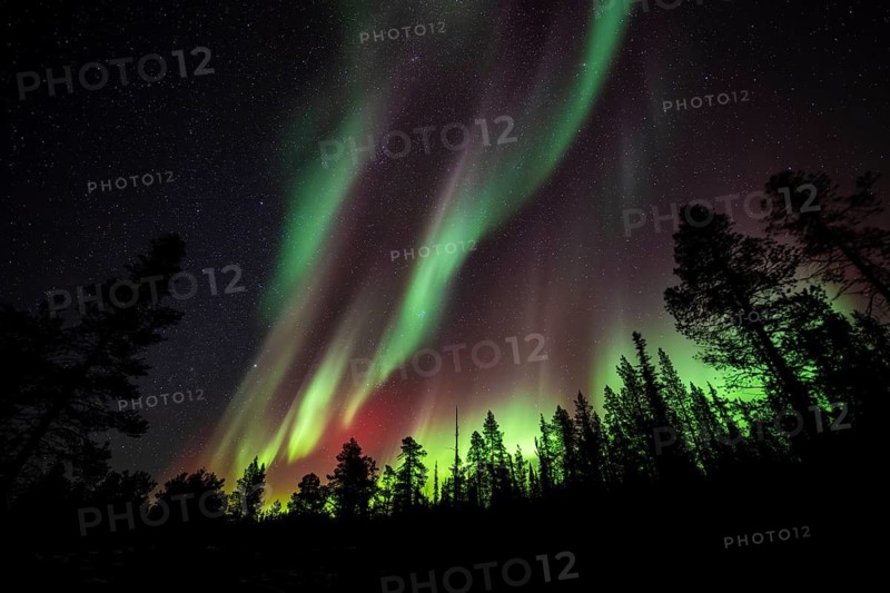 Northern Lights (Aurora borealis), Norrbotten, Lapland, Sweden, October 2022