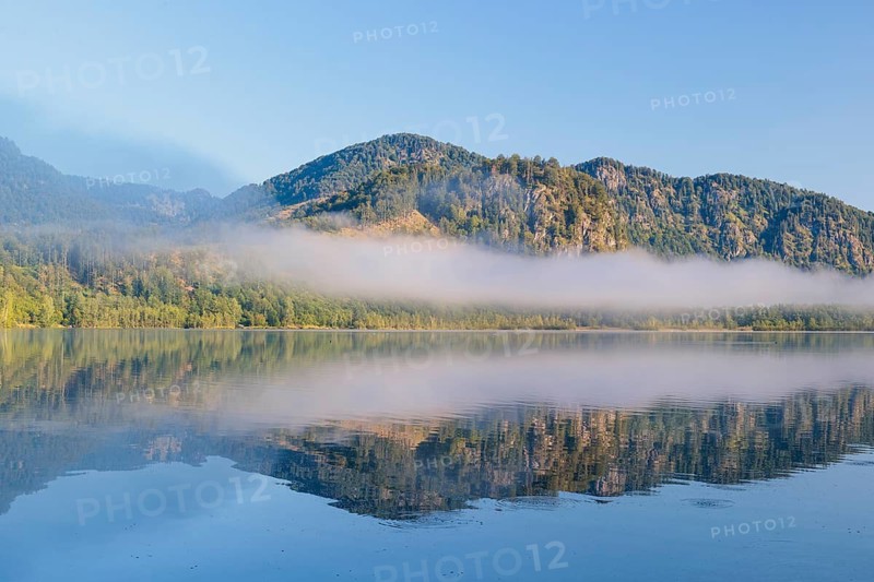On an early autumn morning, a thin bank of fog hangs over the Almsee lake. Austria