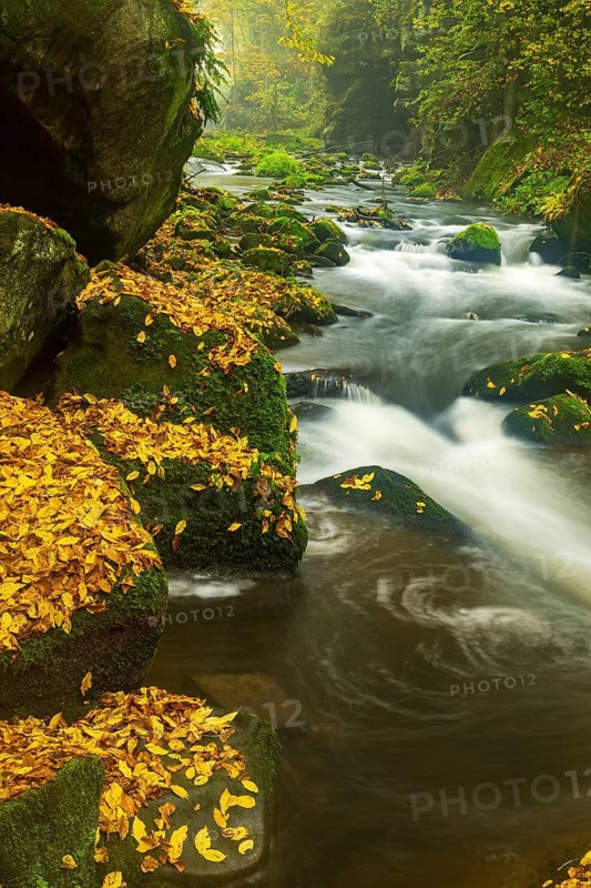 Autumn on a stream in the Elbe Sandstone Mountains in the Saxon Switzerland National Park, Lohmen, Saxony, Germany