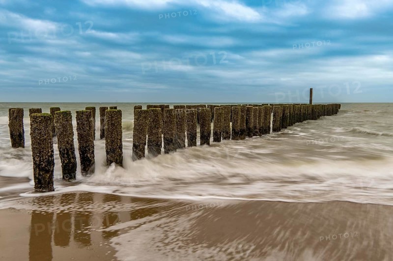 Coastal protection, through wooden posts, paalhoofden, on the beach, breakwater, the piles, some of which are rammed into the sandy soil in double rows, slow down the waves and ocean currents and thus slow down the flow rate of seawater, so less sand is washed away from the stand, near Domburg, Walcheren peninsula in the Dutch province of Zeeland