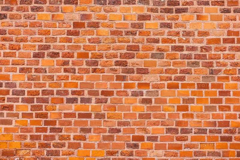 A close-up view of a textured brick wall. The wall features a mix of orange and brown bricks arranged in a uniform pattern