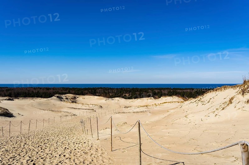 The Gray Dunes, or the Dead Dunes is sandy hills with a bit of green specks at the Lithuanian side of the Curonian Spit, A sandy path leading through dunes towards the ocean under a clear blue sky, Curonian Spit, Neringa, Lithuania