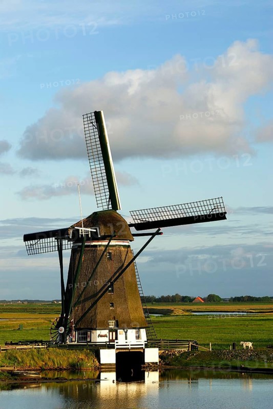 Windmill, thatched, Getreude, Texel, the Netherlands, August 2006, Texel, the Netherlands