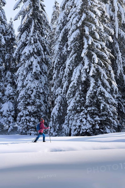 Nice and active senior woman hiking with snow shoes in deep powder snow in the Hochhaedrich area of Bregenz Forest, Hittisau, Vorarlberg, Austria