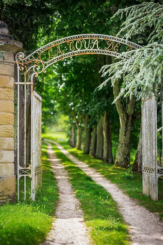 Romantic trail through an avenue in the Mèdoc region, France