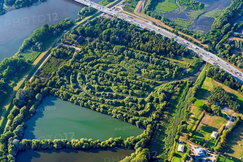 Schierlings water fennel, cultivation aid, Hamburg, Billwerder, Holzhafen, Bergedorf, compensation area, plant, maze, nature conservation, landscape, river, nature, green