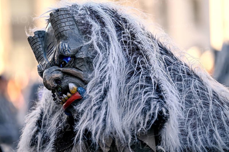 Member of a fools' guild in traditional Haes, fools' clothes, during the carnival procession in Achern, Ortenaukreis, Baden-Württemberg, Germany