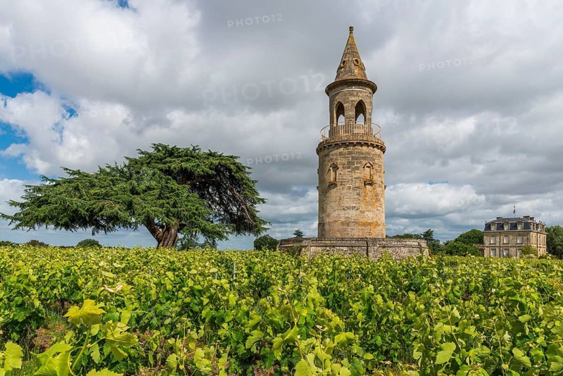 Viticulture on a historic winery in the north of the Mèdoc region, France