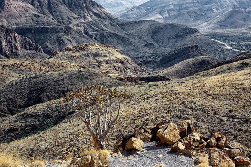 Landscape at the Köcherbaum Gorge in the Naukluft Mountains, Quiver Tree, barren, tourism, desert, Namibia
